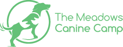 The Meadows Canine Camp